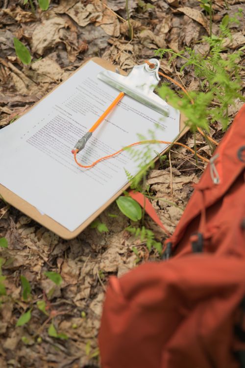 Nouveau portail du Réseau de suivi de la Biodiversité du Québec